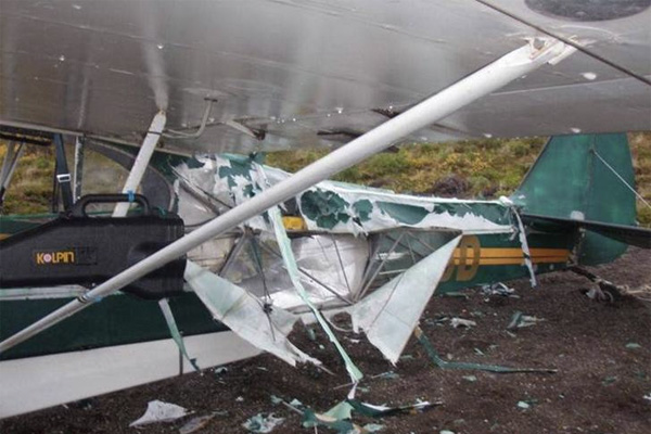 plane wreck in bear country